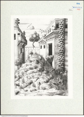 Vorderseite von bh269497_recto