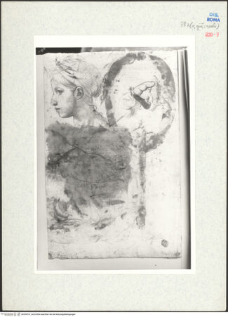 Vorderseite von bh269519_recto