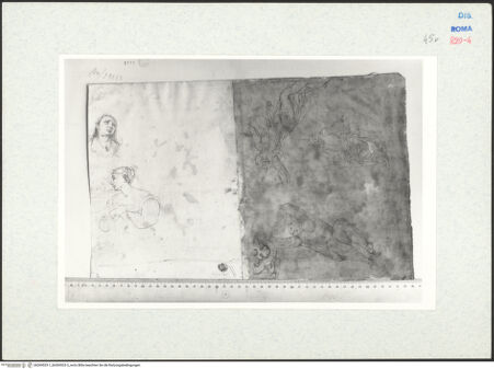 Vorderseite von bh269523-1_bh269523-2_recto