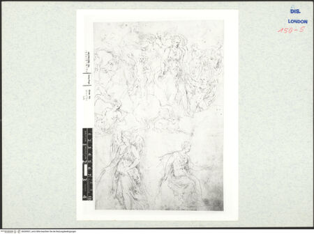 Vorderseite von bh269551_recto