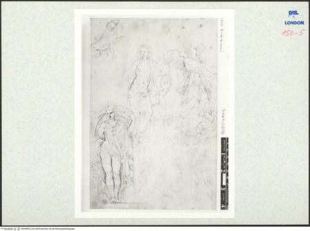 Vorderseite von bh269565_recto