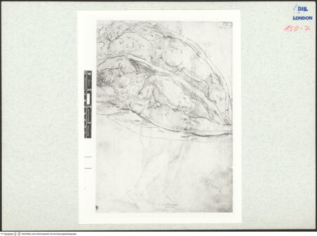 Vorderseite von bh269586_recto