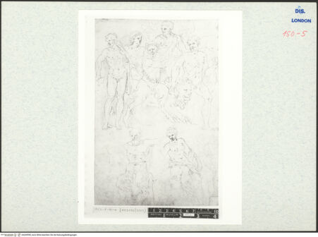 Vorderseite von bh269590_recto