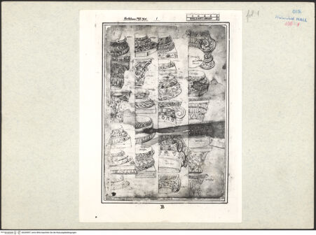 Vorderseite von bh269597_recto