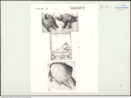 Vorderseite von bh269629_recto