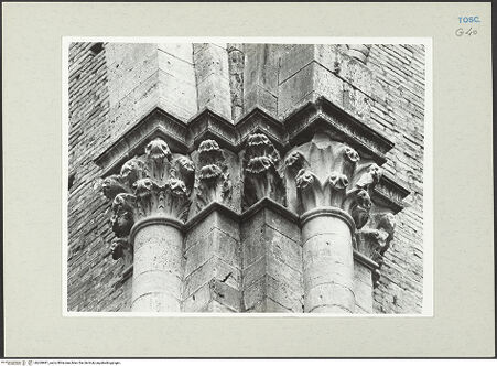 Vorderseite von bh269981_recto