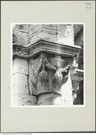 Vorderseite von bh269987_recto