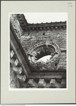 Vorderseite von bh269988_recto