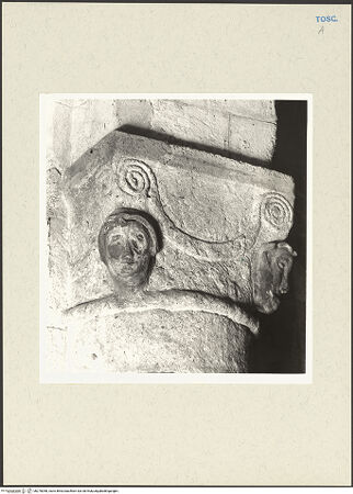 Vorderseite von bh270058_recto