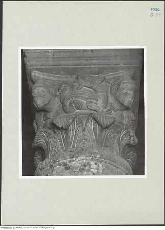 Vorderseite von bh270064_recto