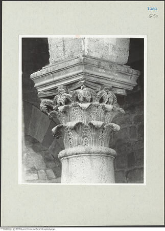 Vorderseite von bh270066_recto