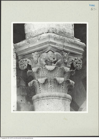 Vorderseite von bh270076_recto