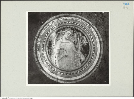 Vorderseite von bh270093_recto