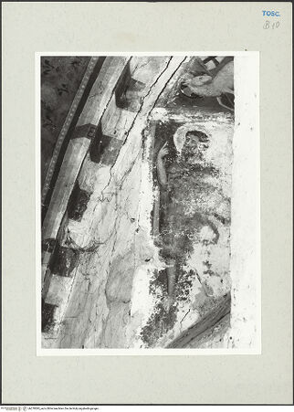 Vorderseite von bh270095_recto