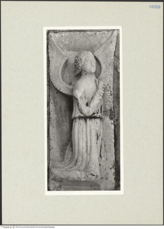 Vorderseite von bh270166_recto