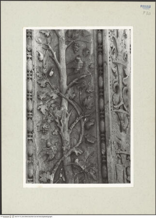 Vorderseite von bh270173_recto