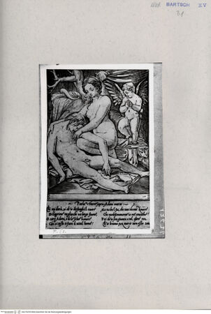 Vorderseite von  [http://creativecommons.org/publicdomain/mark/1.0/] Venus beweint den Tod des Adonis - , bh270295. Foto.
