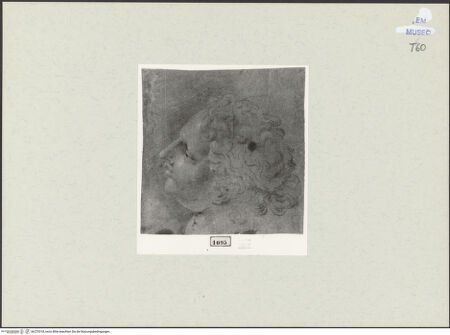 Vorderseite von bh270318_recto