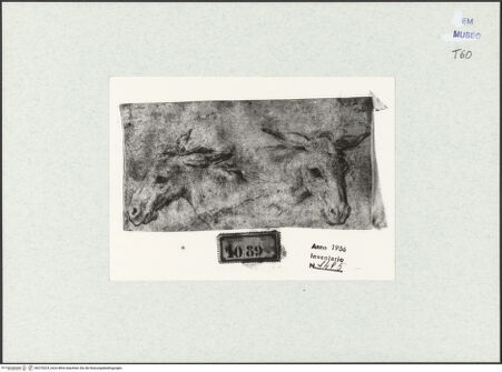 Vorderseite von bh270324_recto