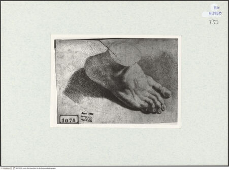 Vorderseite von bh270326_recto