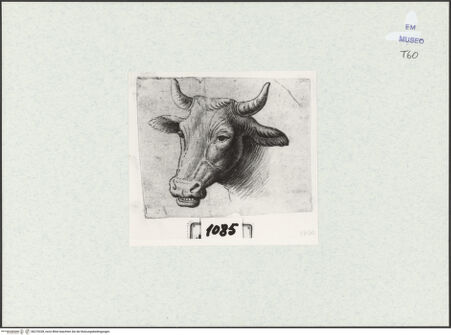 Vorderseite von bh270328_recto