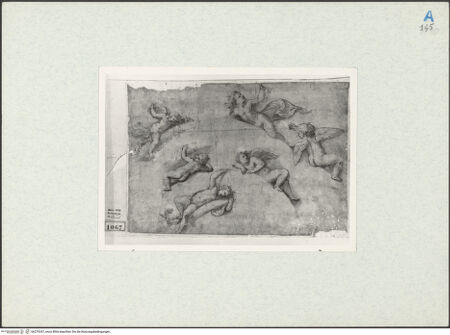 Vorderseite von bh270337_recto