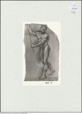 Vorderseite von bh270339_recto