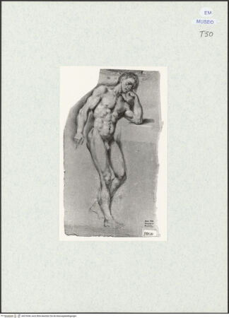 Vorderseite von bh270340_recto