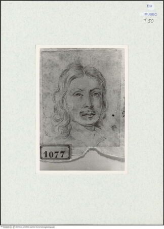 Vorderseite von bh270345_recto