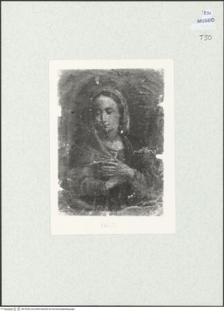 Vorderseite von bh270349_recto