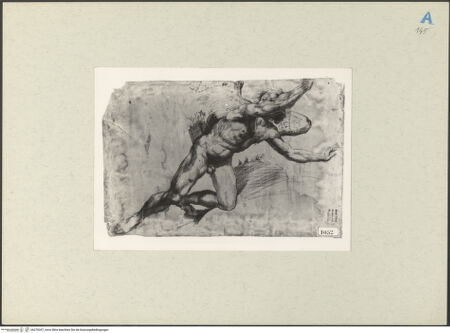 Vorderseite von bh270357_recto