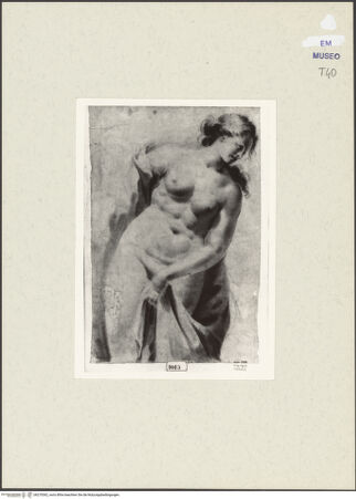 Vorderseite von bh270362_recto