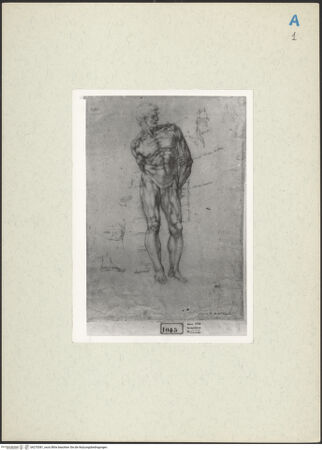 Vorderseite von bh270381_recto