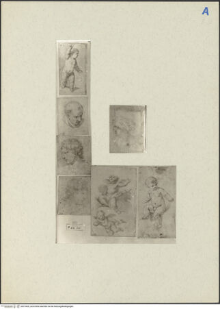 Vorderseite von bh270426_recto