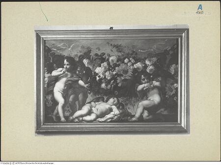 Vorderseite von bh270555_recto