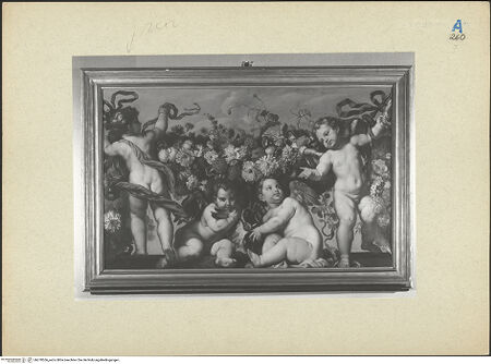 Vorderseite von bh270556_recto