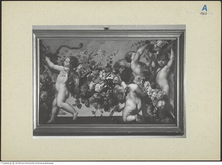 Vorderseite von bh270562_recto