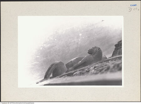 Vorderseite von Pace, Valentino [https://www.deutsche-digitale-bibliothek.de/content/lizenzen/rv-ez/] Porta dei Leoni (Portal des Atriums)Architrav mit Inschrift - Detail, Affe, bh270798_recto. Foto: Pace, Valentino.