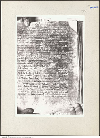 Vorderseite von bh270801_recto