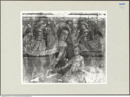 Vorderseite von bh271137_recto