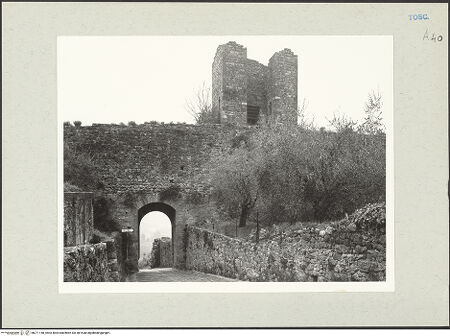 Vorderseite von bh271148_recto