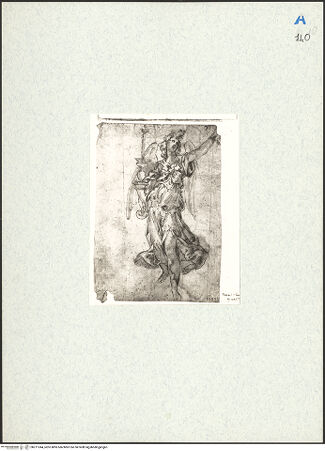 Vorderseite von bh271244_recto