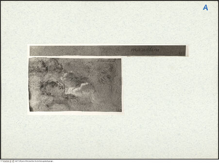 Vorderseite von bh271249_recto