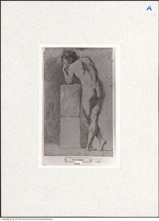 Vorderseite von bh271269_recto