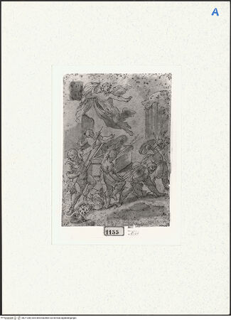 Vorderseite von bh271288_recto