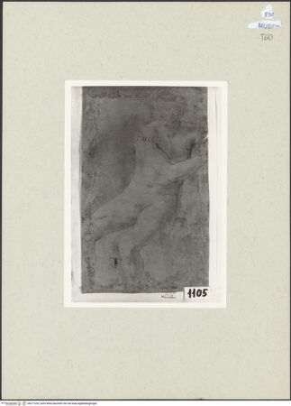 Vorderseite von bh271293_recto