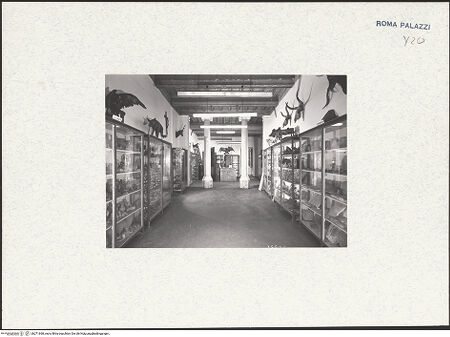 Vorderseite von bh271668_recto