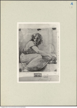 Vorderseite von bh271824_recto