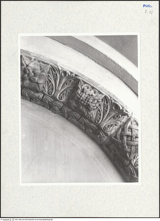 Vorderseite von bh271886_recto