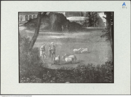 Vorderseite von bh271981_recto